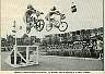 bmx-007.jpg