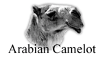 camelot.gif (8198 bytes)